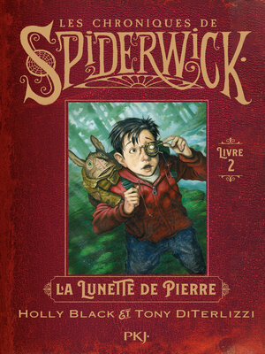cover image of La lunette de pierre